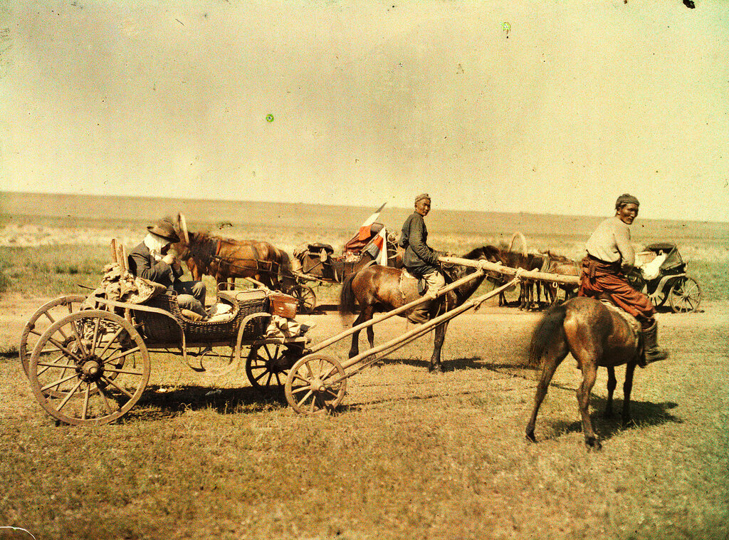 Гужевой скот селян. Монголия 1913. Монголия 1913 года в цвете. Монголия 19 век. Повозки кочевников.